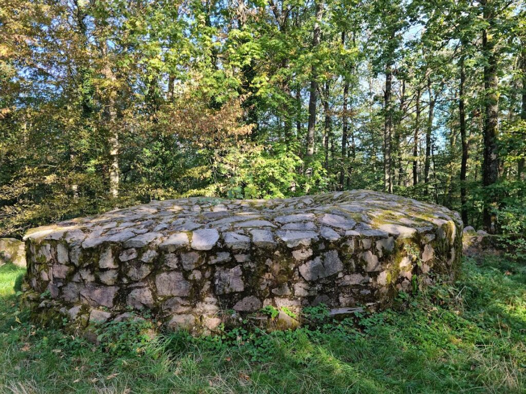 Burg Schnellerts: A Medieval Hilltop Castle in Hesse 2 Burg Schnellerts