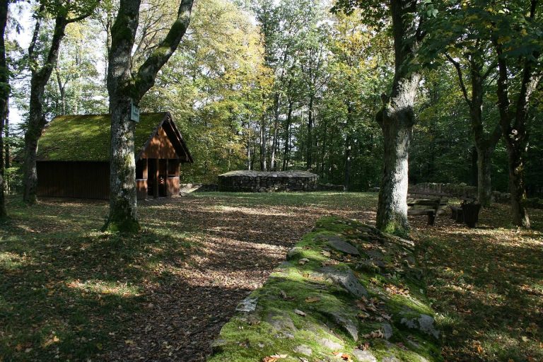 Burg Schnellerts: A Medieval Hilltop Castle in Hesse
