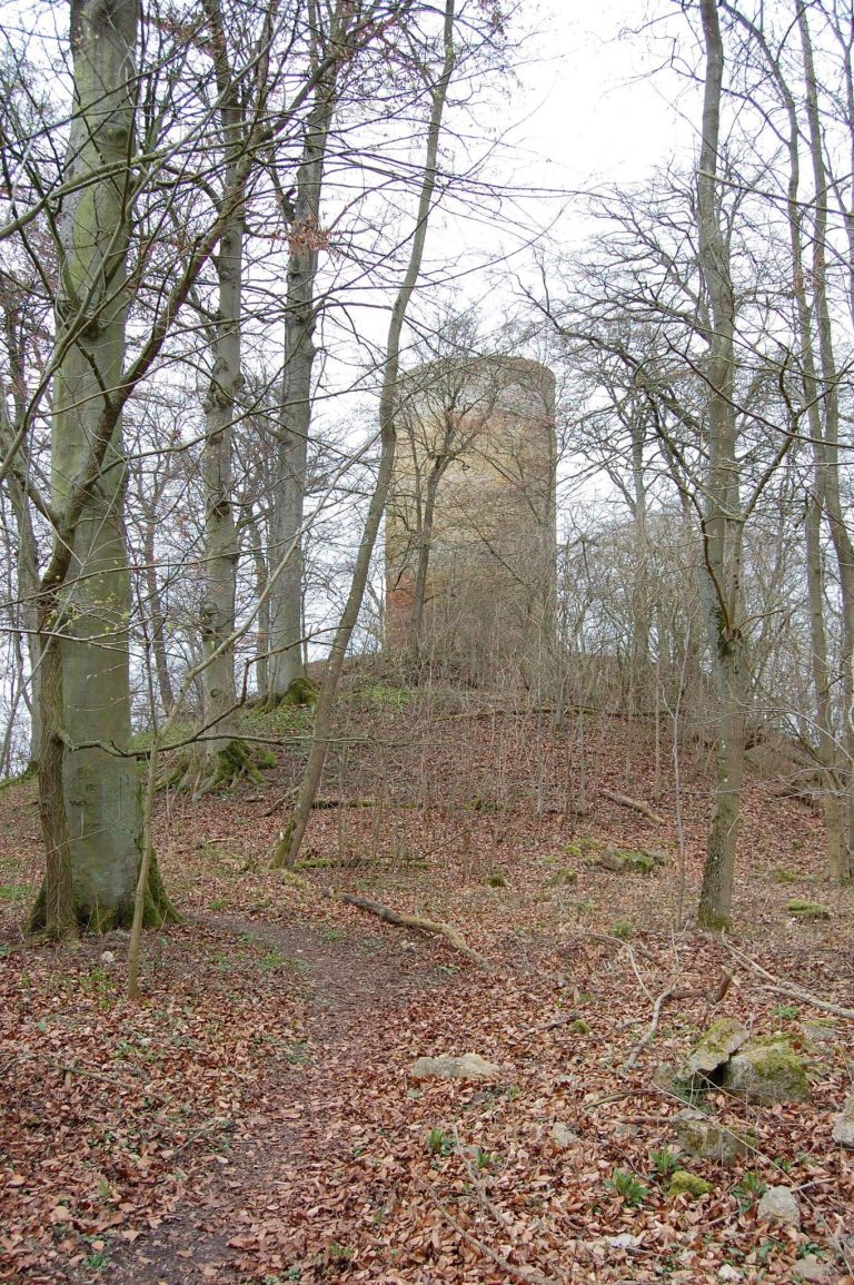 Burgruine Schartenberg: A Medieval Hilltop Castle Ruin in Germany