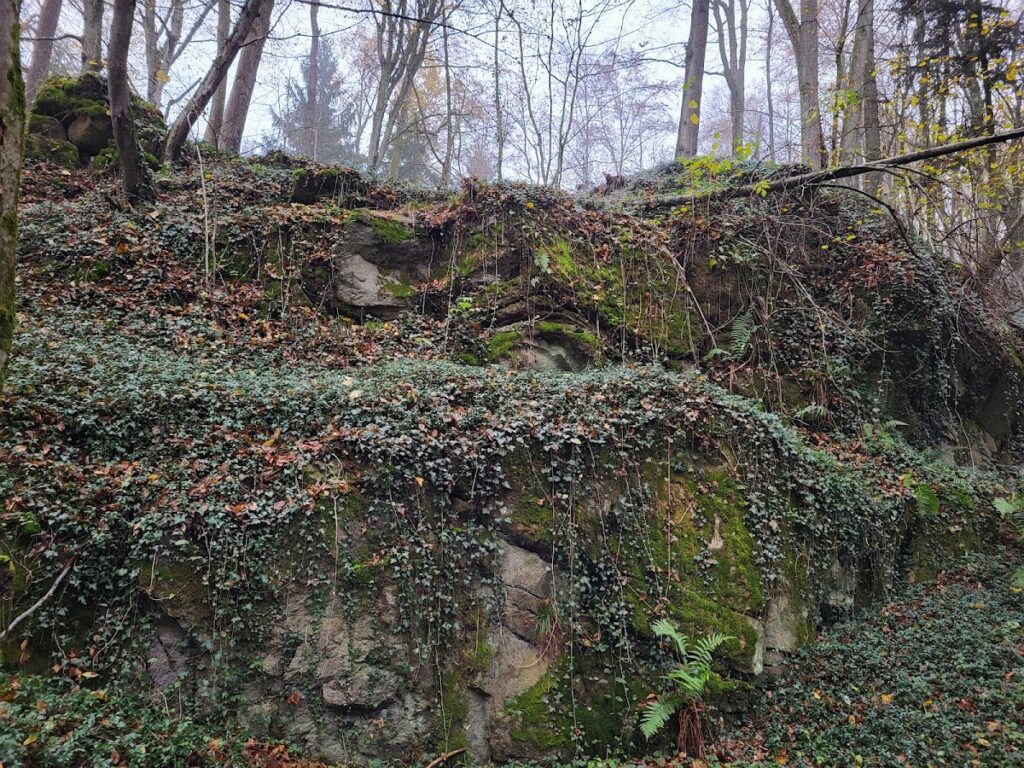 Burgruine Mitterberg: A Medieval Castle Ruin in Upper Austria 1 Burgruine Mitterberg