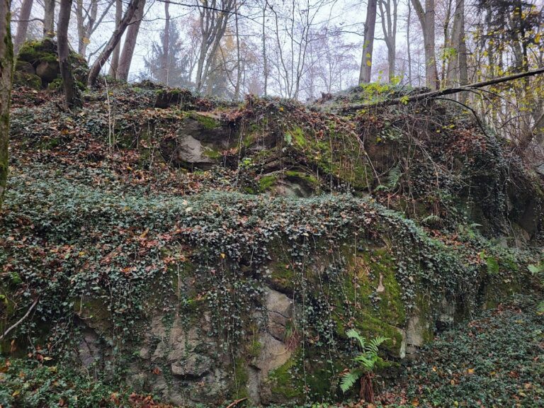 Burgruine Mitterberg: A Medieval Castle Ruin in Upper Austria