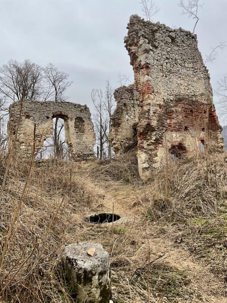 Castle Neu-Wildon: A Medieval Hilltop Fortress in Austria