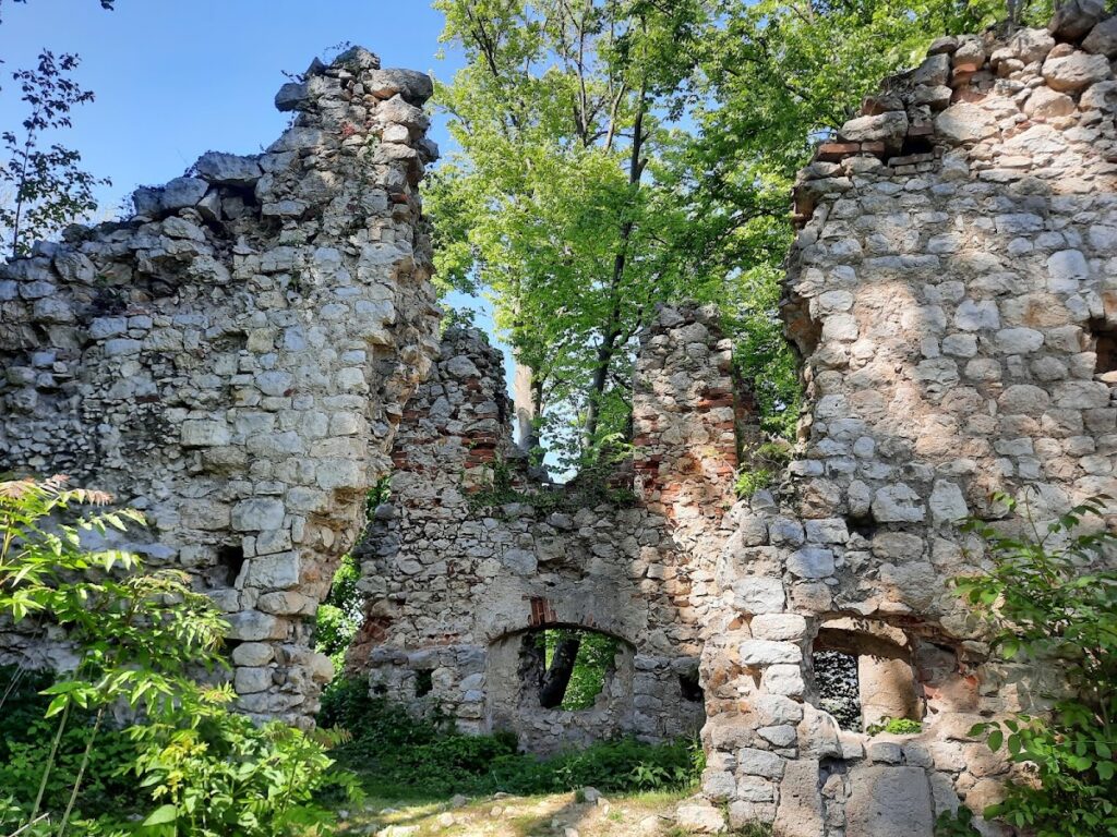 Castle Neu-Wildon: A Medieval Hilltop Fortress in Austria 2 Castle Neu-Wildon