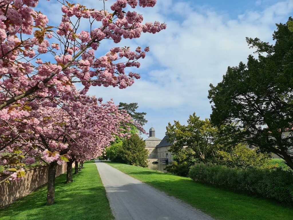 Westerwinkel Castle: A Baroque Moated Residence in Germany 3 Westerwinkel Castle