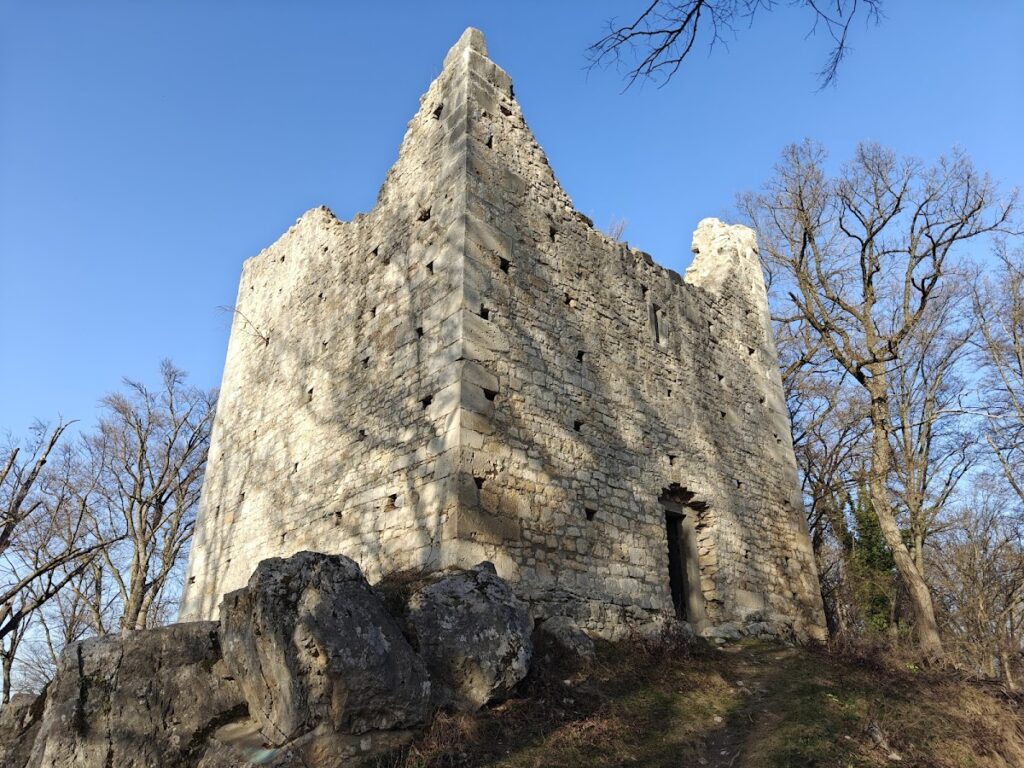 Castle Alt-Wildon: A Ruined Hill Castle in Austria 1 Castle Alt-Wildon