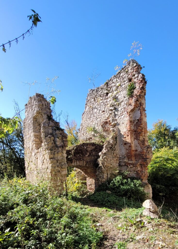 Castle Alt-Wildon: A Ruined Hill Castle in Austria 2 Castle Alt-Wildon
