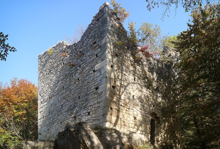Castle Alt-Wildon: A Ruined Hill Castle in Austria