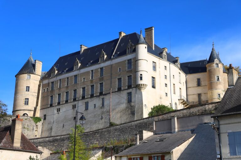 Château de Châteauneuf-sur-Cher: A Fortified Castle in France