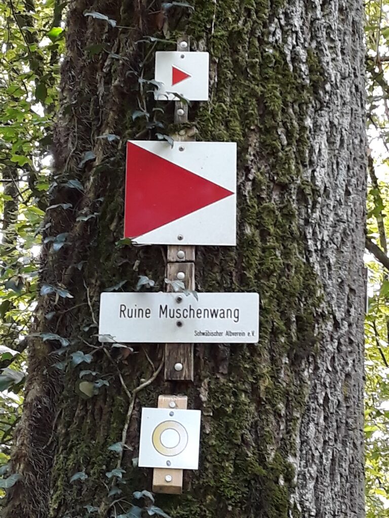Ruine Muschenwang: A Medieval Hilltop Castle and Its Successor Farm 2 Ruine Muschenwang