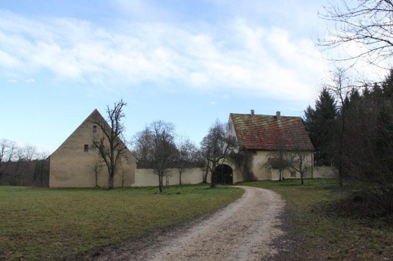 Ruine Muschenwang: A Medieval Hilltop Castle and Its Successor Farm