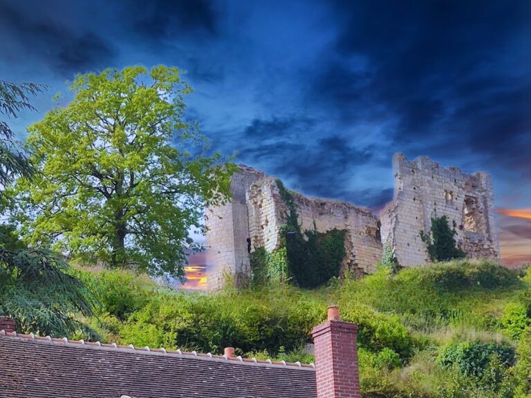 Château de Montoire: A Medieval Fortified Castle in France
