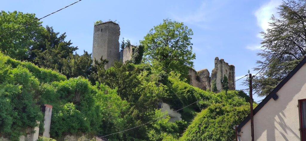 Château de Montoire: A Medieval Fortified Castle in France 2 Château de Montoire