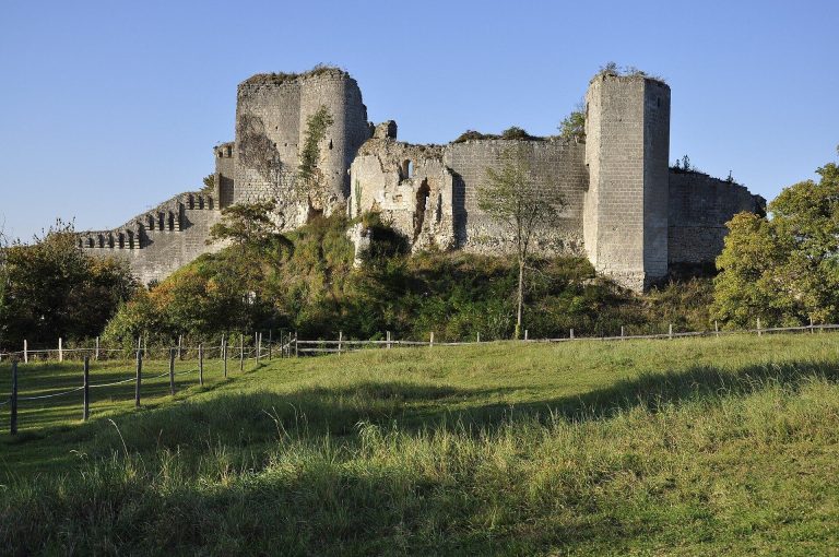 Château de Montoire: A Medieval Fortified Castle in France