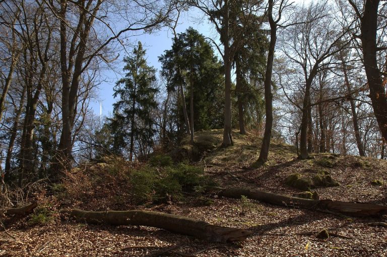 Burgstall Löweneck: A High-Medieval Spur Castle in Germany