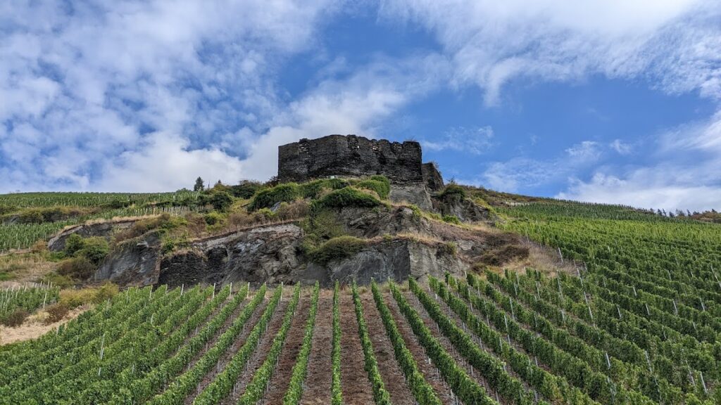 Burg Zeltingen: A Medieval Castle on the Moselle 1 Burg Zeltingen