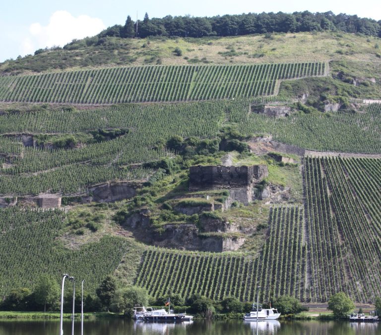 Burg Zeltingen: A Medieval Castle on the Moselle