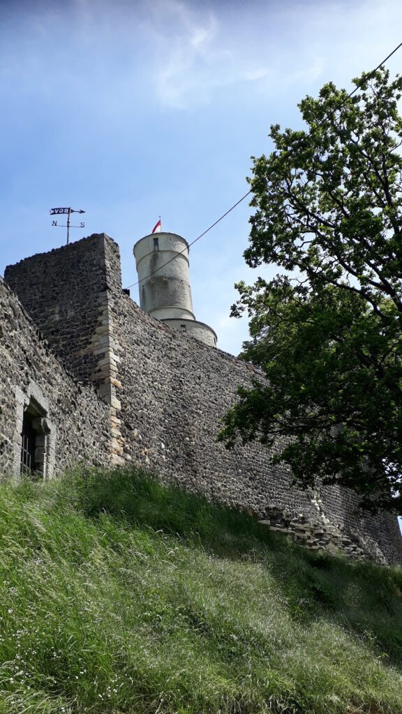 Felsburg: A Medieval Hill Castle in Hesse, Germany 4 Felsburg