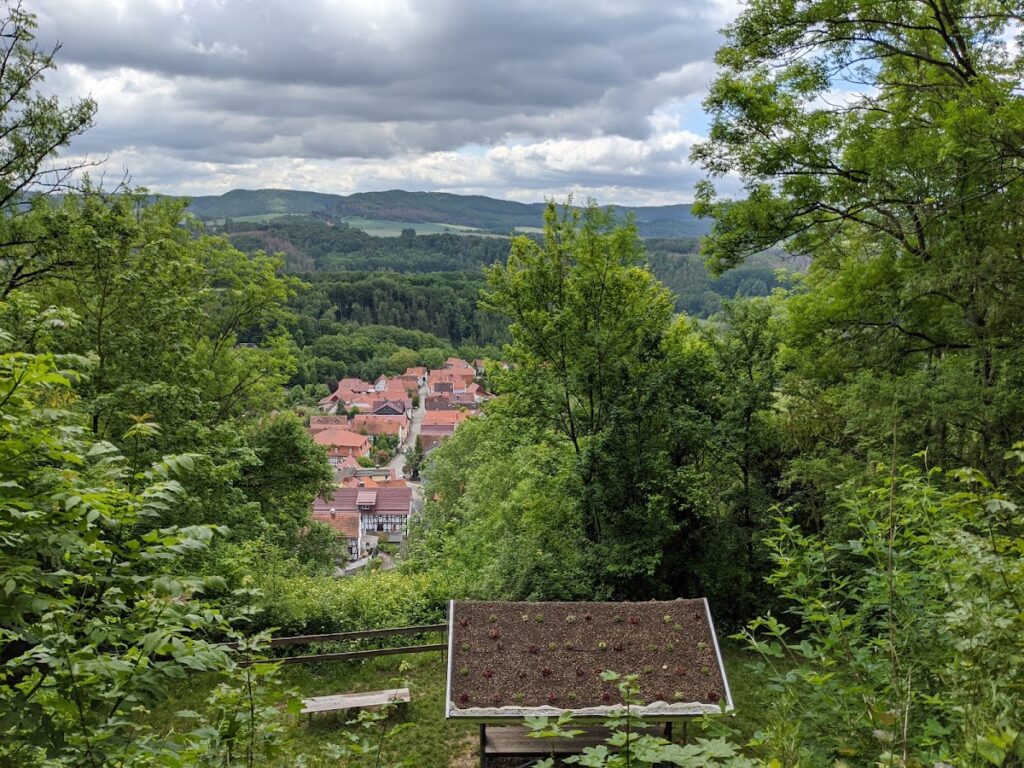 Burgruine Rusteberg: A Medieval Hilltop Castle and Administrative Centre in Germany 2 Burgruine Rusteberg