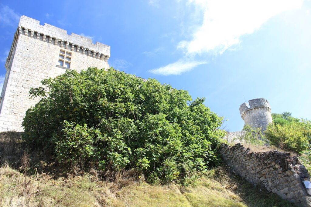 Château de La Coste: A Historic Château in Grézels, France 2 Château de La Coste