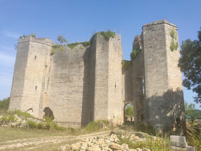 Château de Montfort: A Medieval Fortress in France