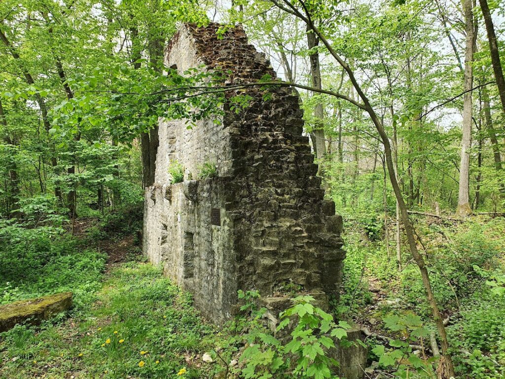 Burg Seldeneck: A Medieval Hill Castle in Germany 1 Burg Seldeneck