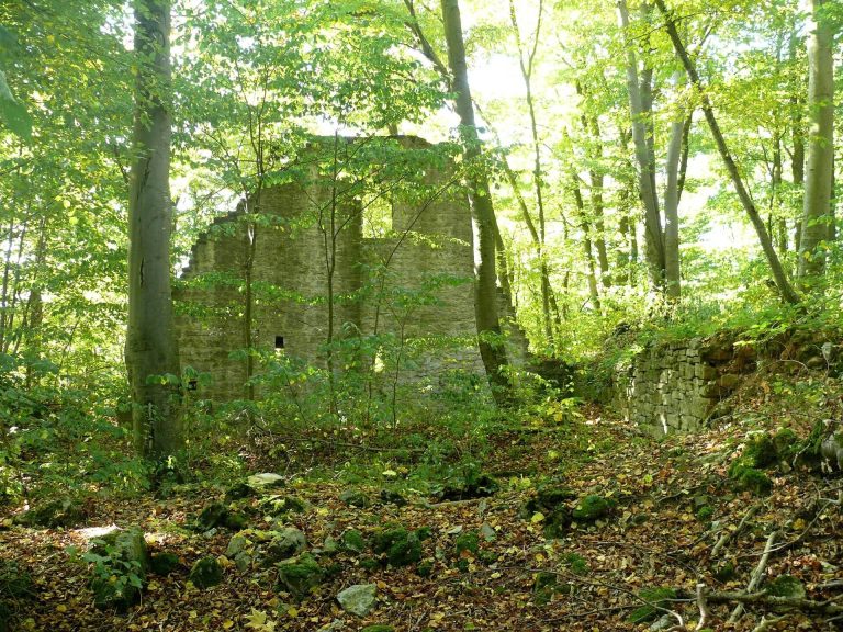 Burg Seldeneck: A Medieval Hill Castle in Germany
