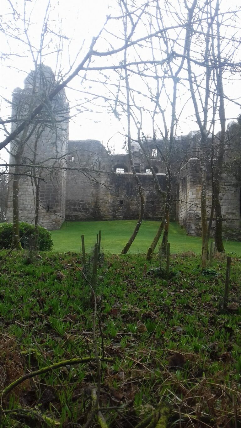 Old Tulliallan Castle: A Ruined Douglas Tower House near Kincardine