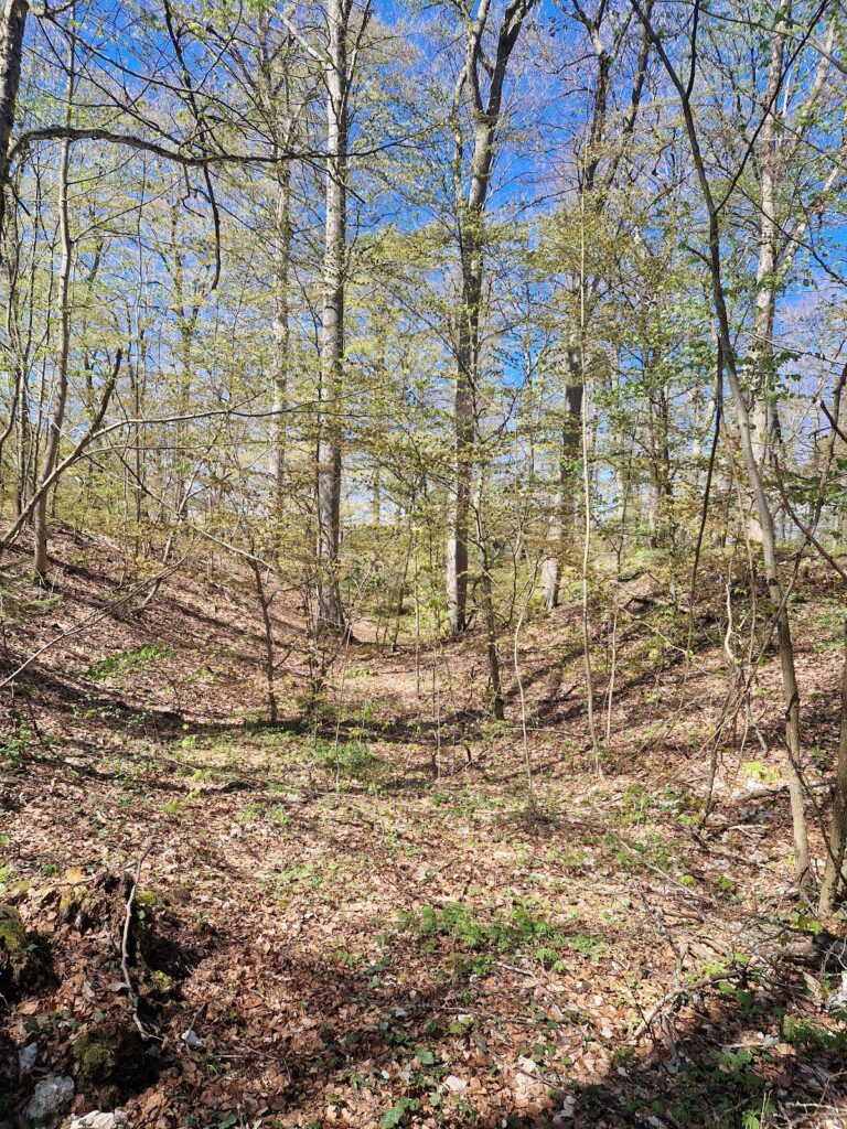 Burg Gräbelesberg: A Hilltop Fortification in Baden-Württemberg