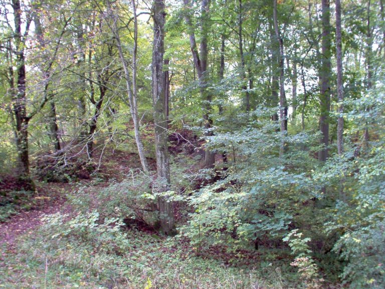 Ruine Bittelschieß: A High-Medieval Hilltop Castle Ruin in Germany