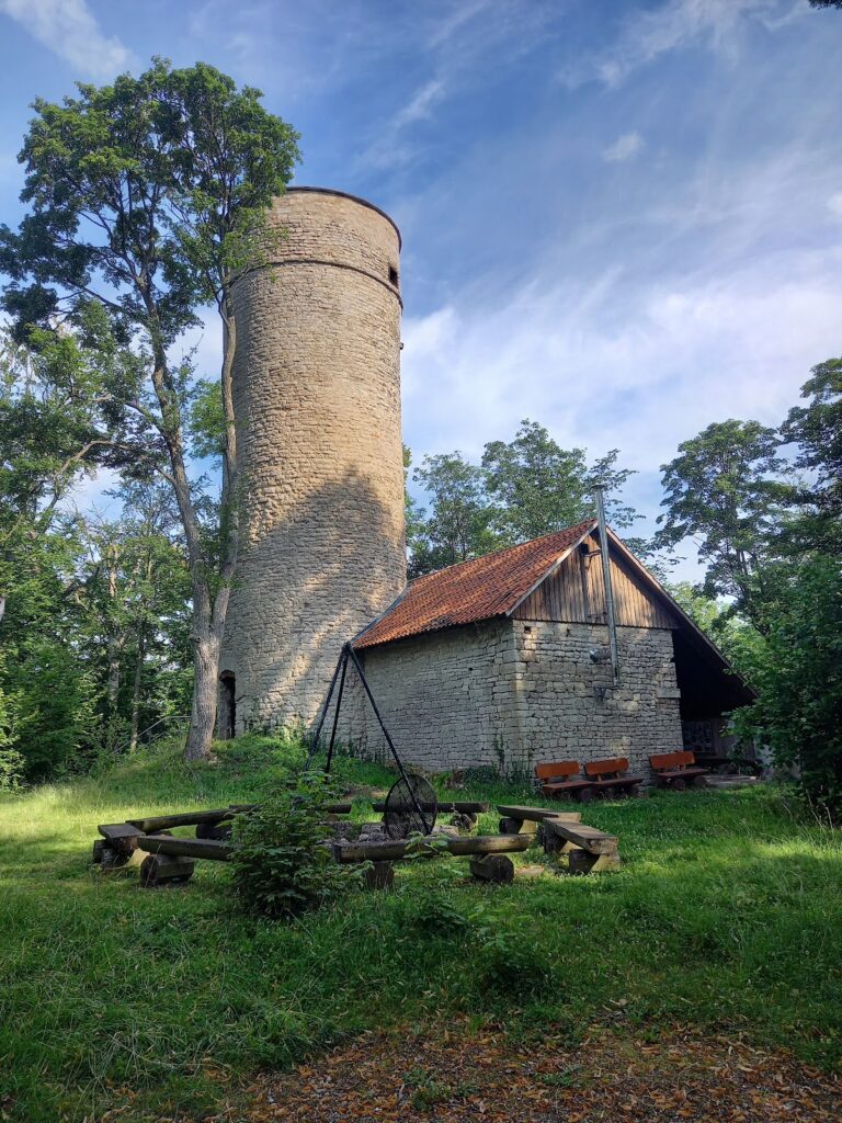 Grubenhagen Castle: A Medieval Hill Castle in Germany
