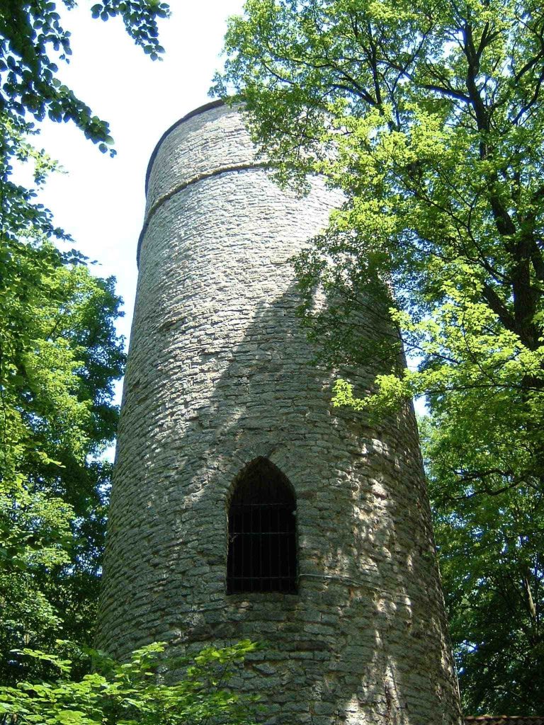 Grubenhagen Castle: A Medieval Hill Castle in Germany
