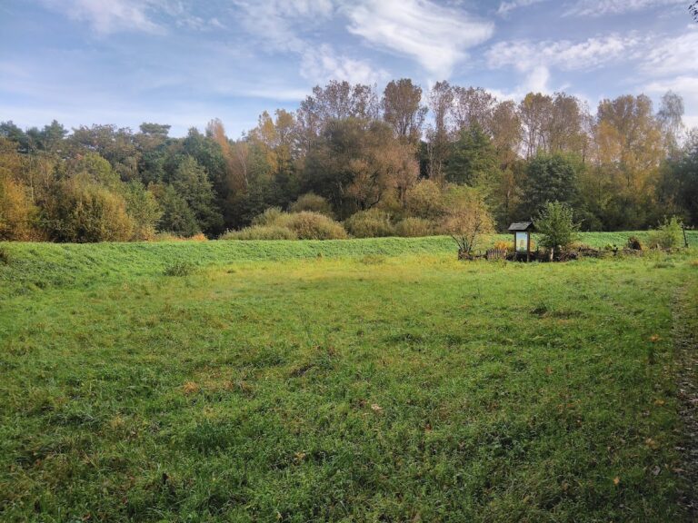 Burgwall Hollenstedt: A Ninth-Century Ringwork Fortification in Germany