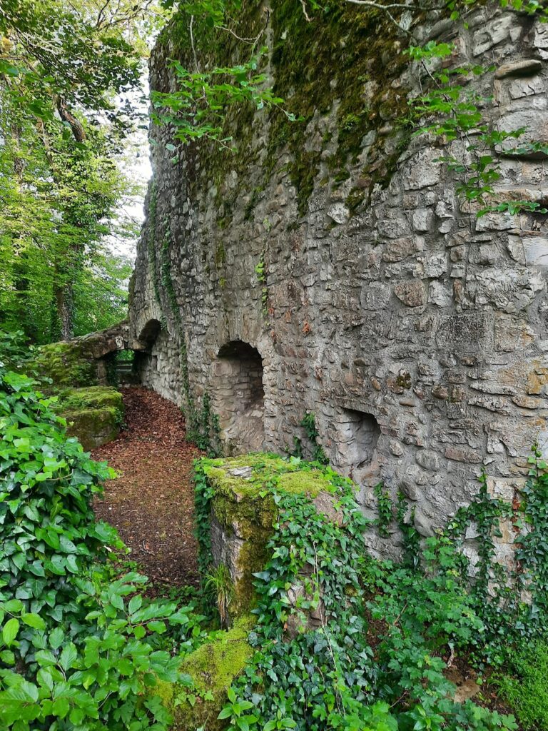 Weisswasserstelz: A Medieval Hill Castle on the High Rhine