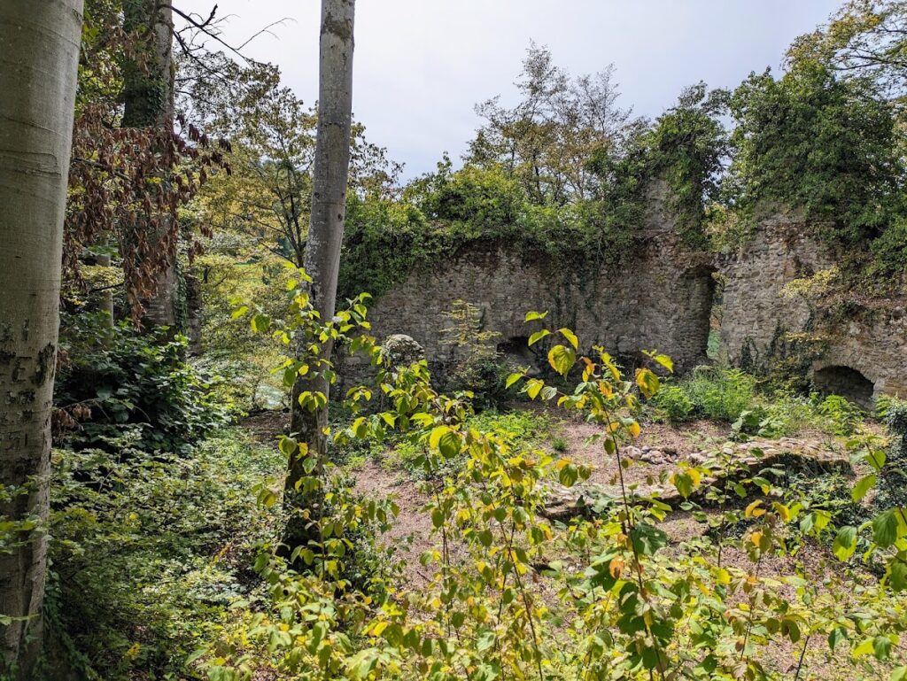 Weisswasserstelz: A Medieval Hill Castle on the High Rhine 2 Weisswasserstelz