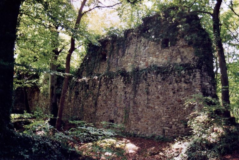 Weisswasserstelz: A Medieval Hill Castle on the High Rhine