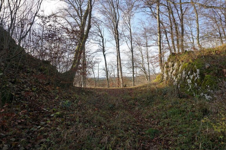 Schatzberg Castle: A Medieval Noble Fortress in Baden-Württemberg