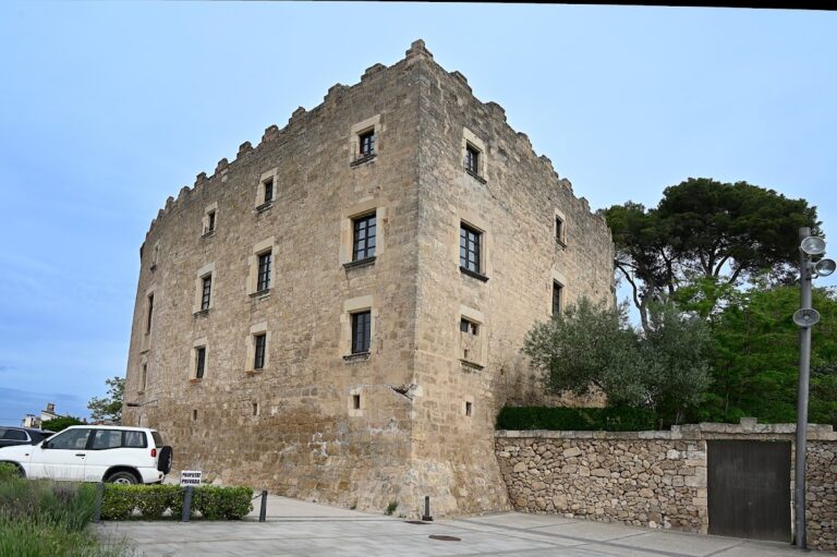 Castell de la Torre de Claramunt: A Fortified Manor House in Catalonia