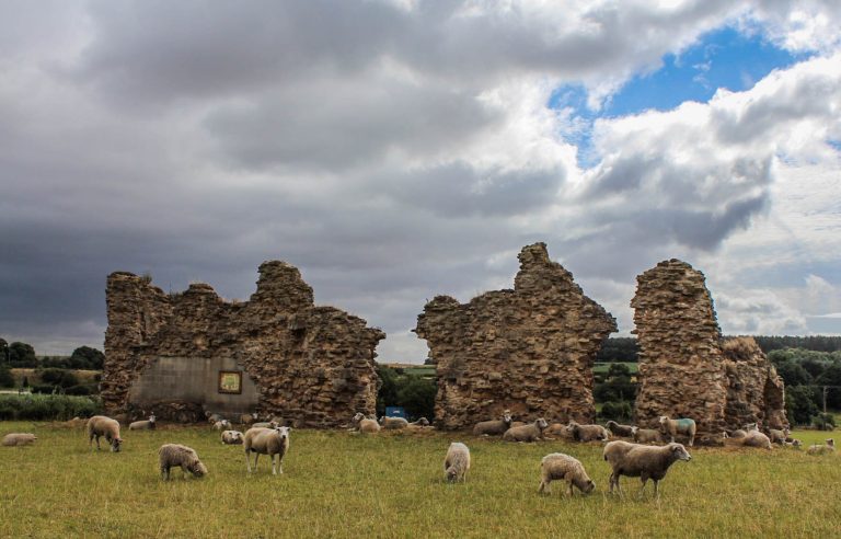 King John’s Palace: A Medieval Royal Residence in England