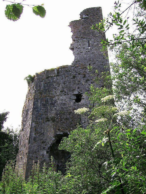 Castle Troy: A Medieval Defensive Castle near Limerick, Ireland