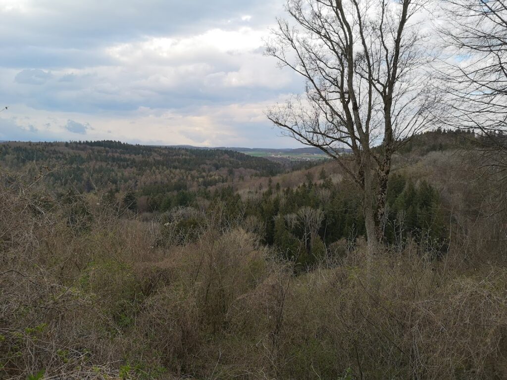 Nellenburg: An Early Medieval Hilltop Castle Ruin in Germany 1 Nellenburg