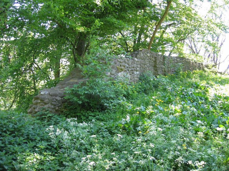 Nellenburg: An Early Medieval Hilltop Castle Ruin in Germany