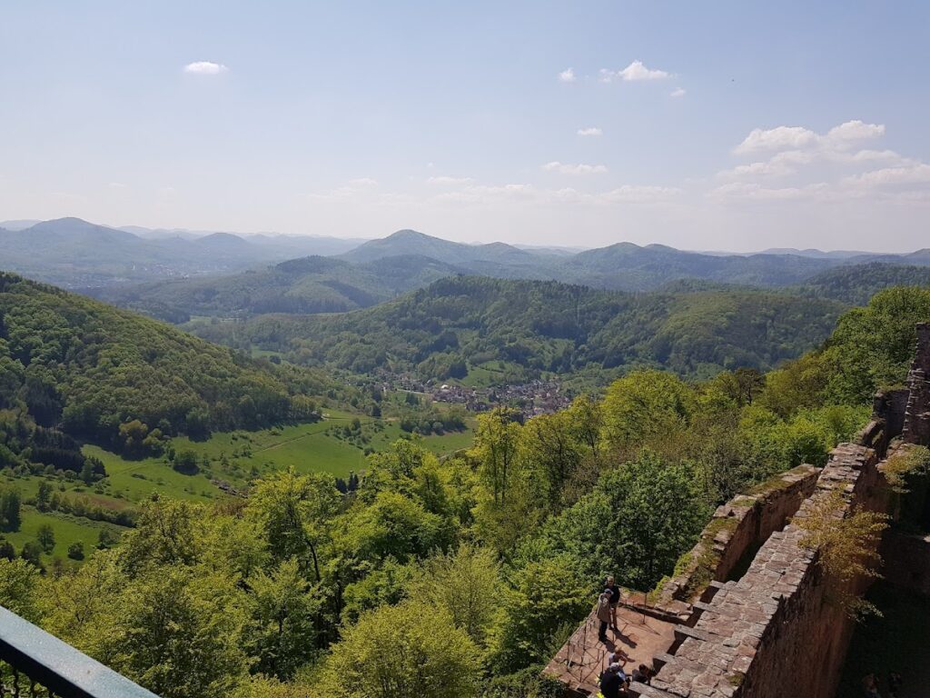 Neuscharfeneck Castle: A Medieval Hill Castle Ruin in Germany 4 Neuscharfeneck Castle