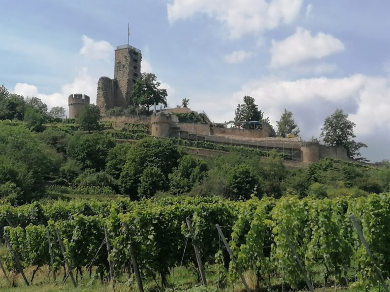 Wachtenburg: A Medieval Hilltop Castle Ruin in Germany