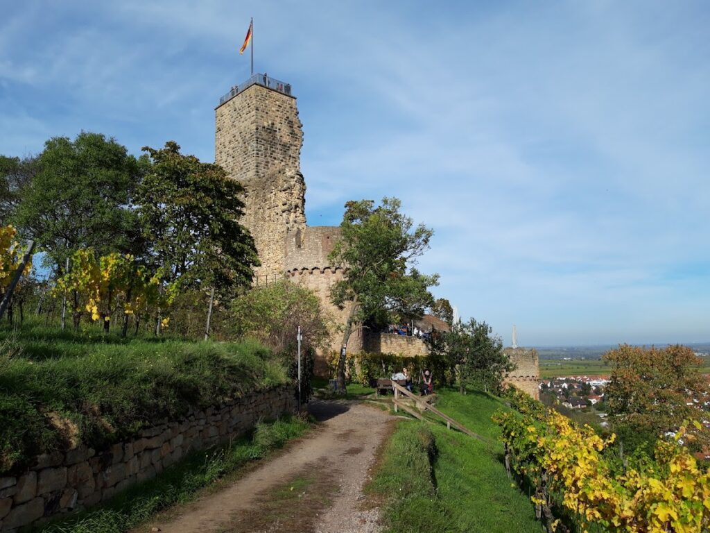 Wachtenburg: A Medieval Hilltop Castle Ruin in Germany 2 Wachtenburg