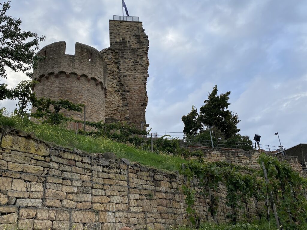 Wachtenburg: A Medieval Hilltop Castle Ruin in Germany 3 Wachtenburg