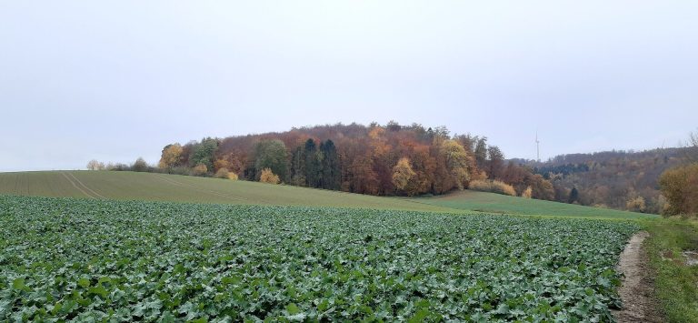 Burg Nieder-Modau: A Medieval Hilltop Castle in Germany