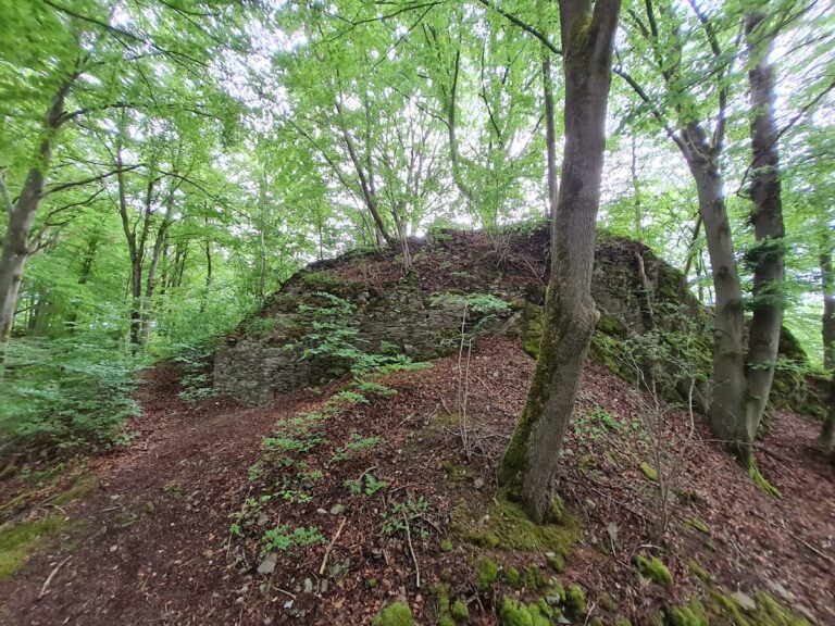 Burg Borghausen: A Ruined Hill-Spur Castle in Germany