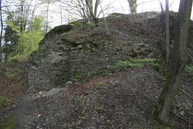 Burg Borghausen: A Ruined Hill-Spur Castle in Germany