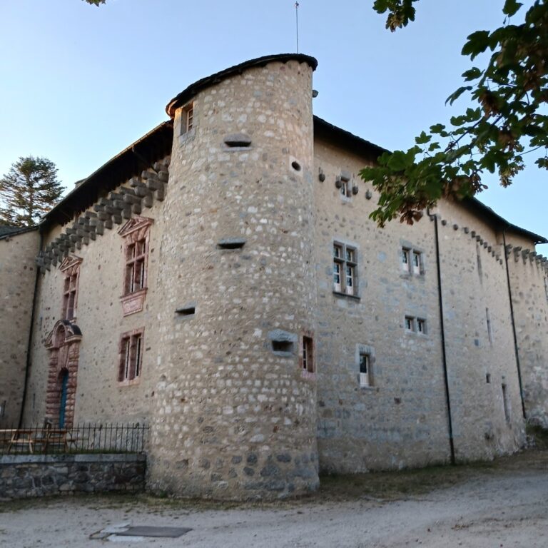Château de Saint-Alban: A Medieval Castle and Psychiatric Heritage Site in France