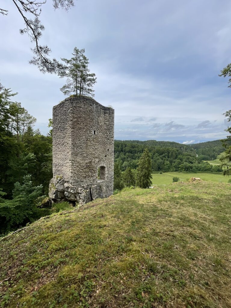 Burg Hohenerpfingen: A High-Medieval Castle in Germany